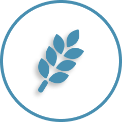 alt image