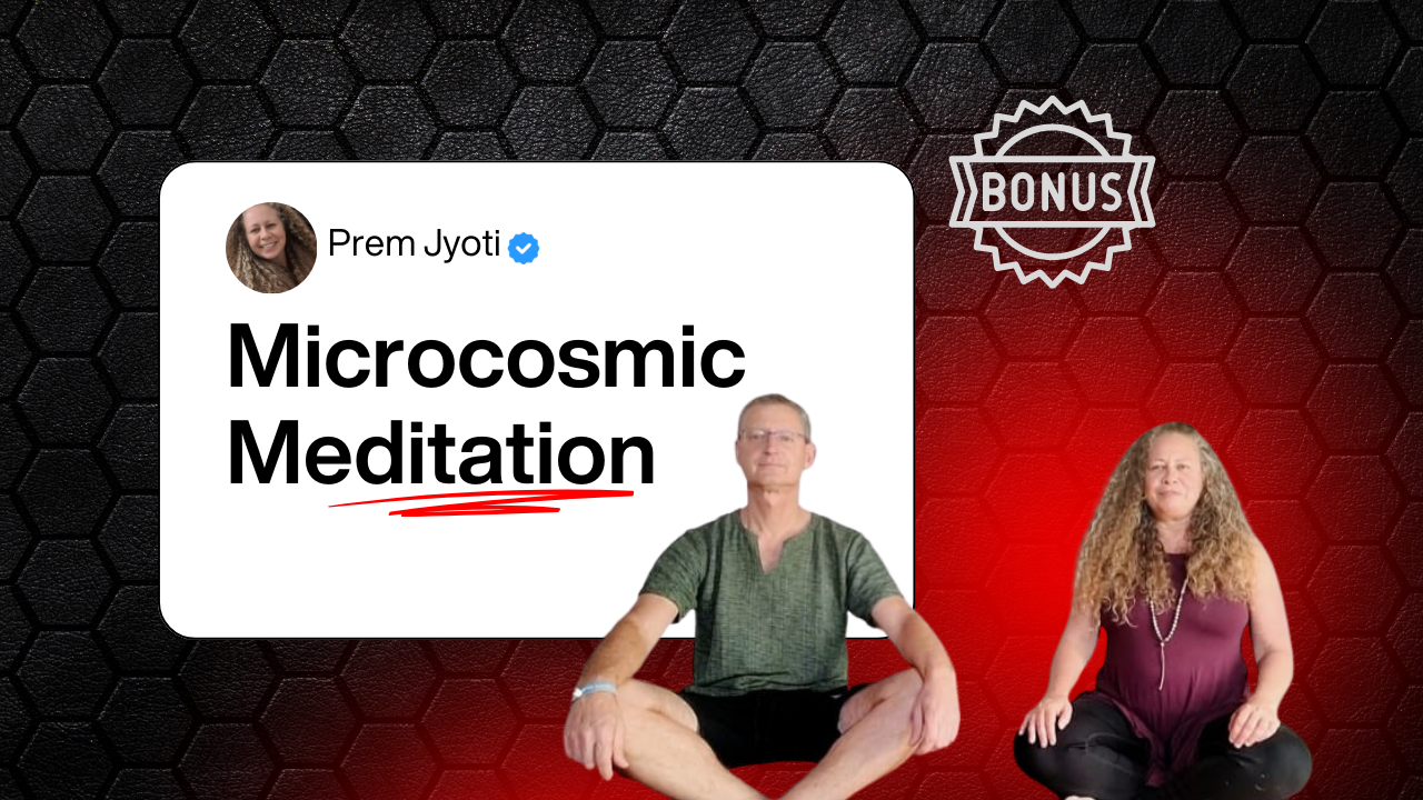 המדיטציה המיקרוקוסמית