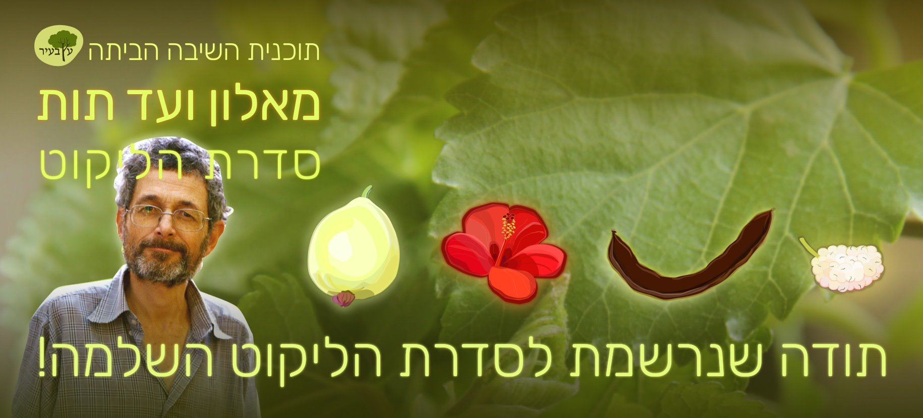 תכנית השיבה הביתה סדרת הליקוט