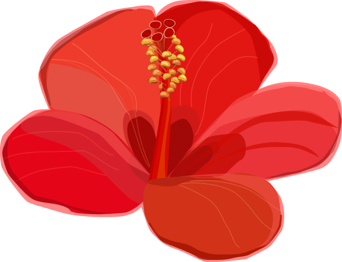 alt image