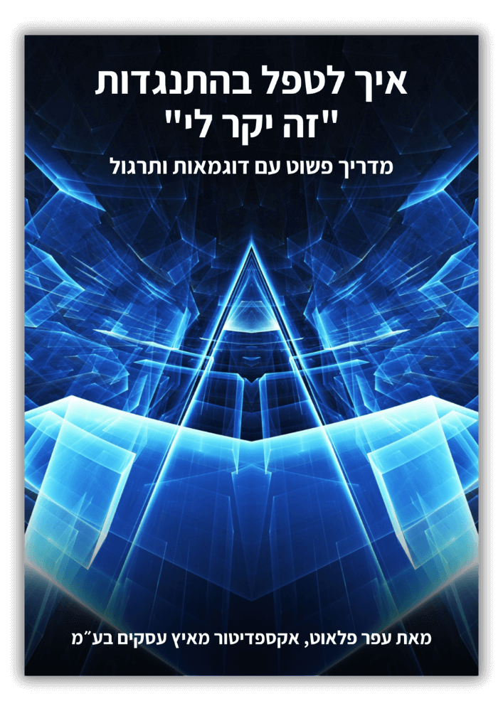מדריך
