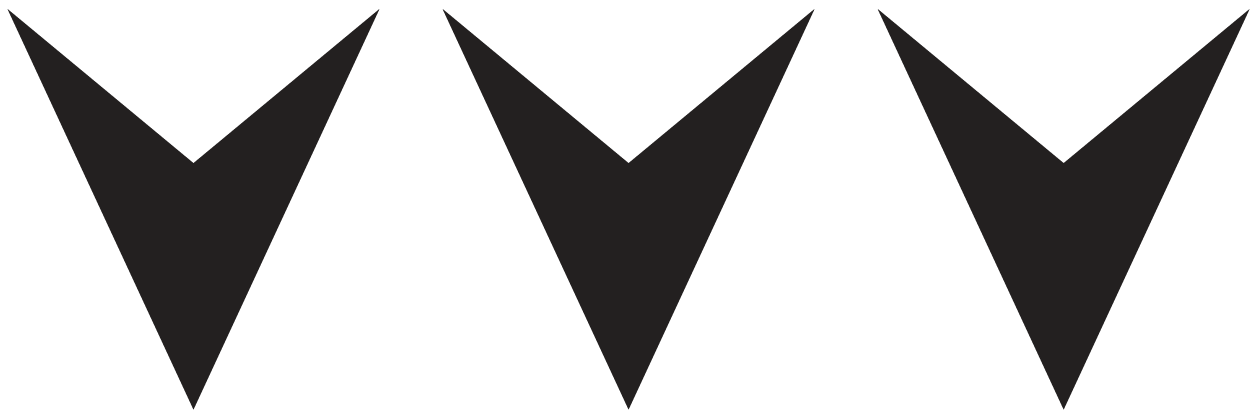 alt image