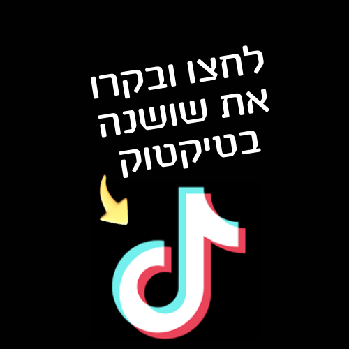 alt image