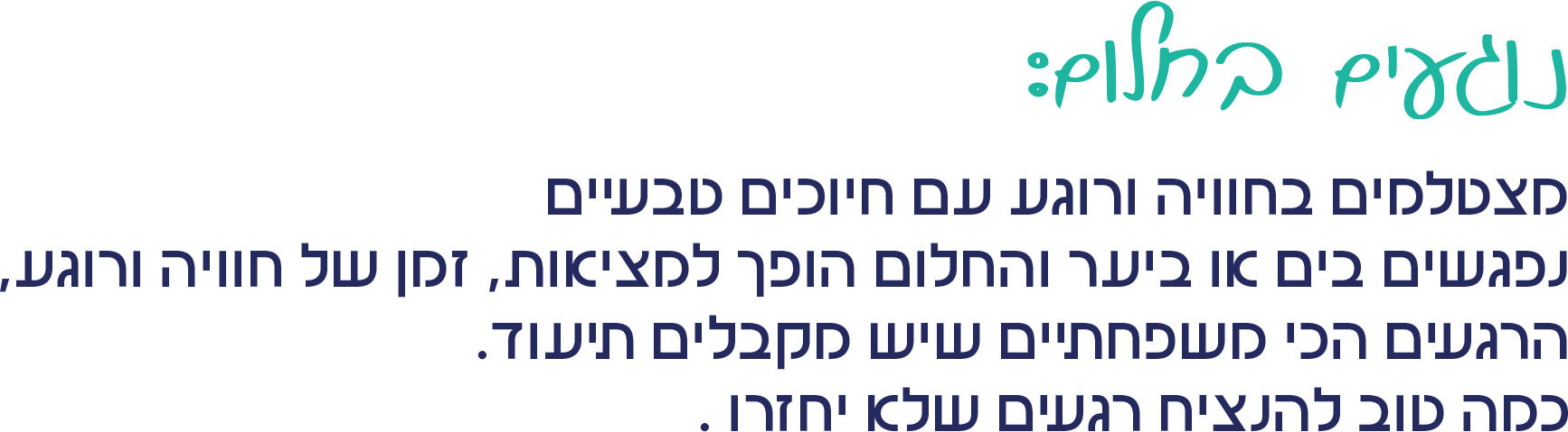 alt image