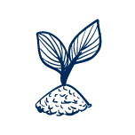 alt image