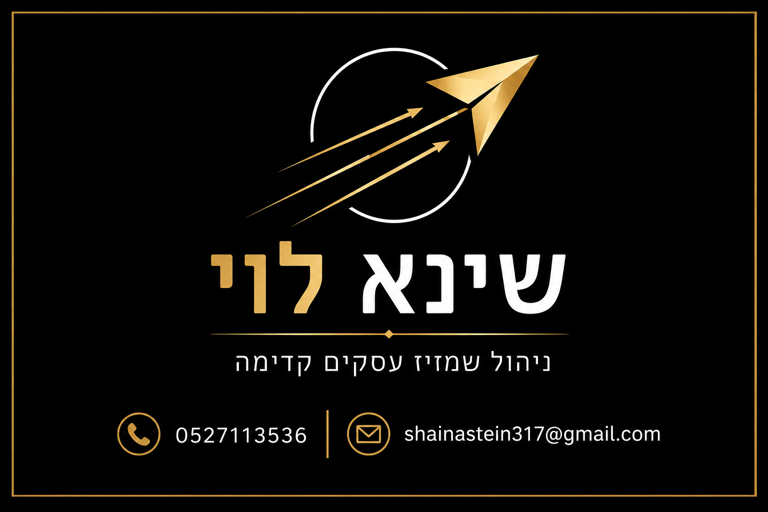 לוגו שינא לוי